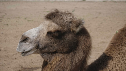 Similar image 21770718