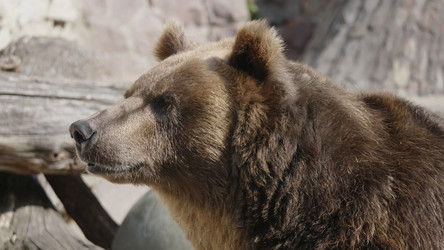 Similar image 21770908