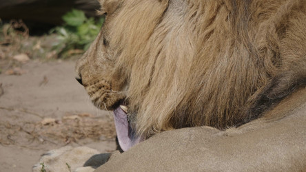 Similar image 21770910