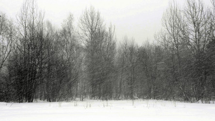 Similar image 21770911