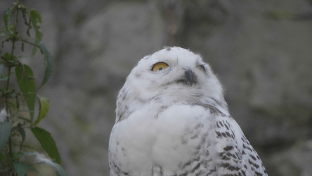 Similar image 21770914