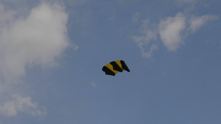 Similar image 21771194