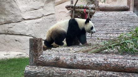 Similar image 21771196