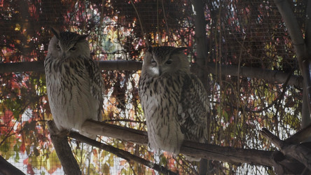 Similar image 21771200