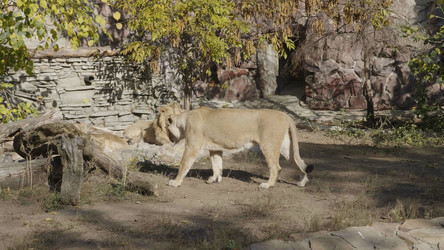 Similar image 21771207