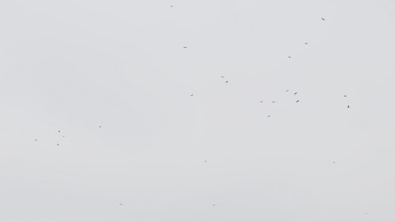 Similar image 21771208