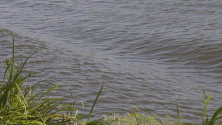 Similar image 21771397