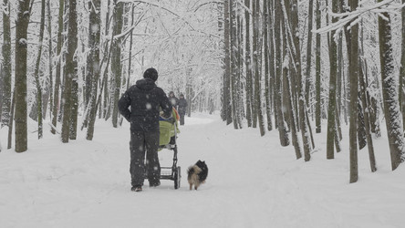 Similar image 21771398