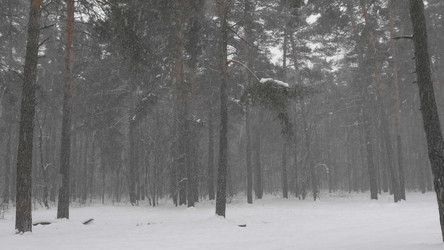 Similar image 21771401