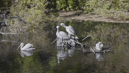 Similar image 21771403