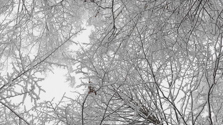 Similar image 21770325