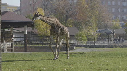 Similar image 21770326