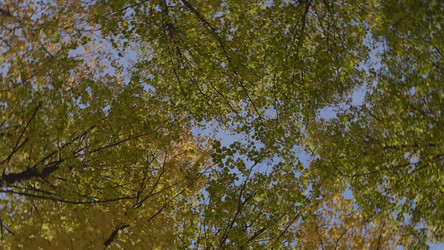 Similar image 21770327