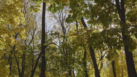 Similar image 21770331