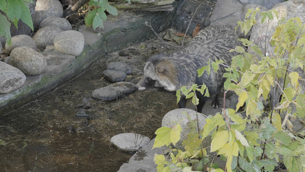 Similar image 21770332