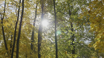 Similar image 21770333