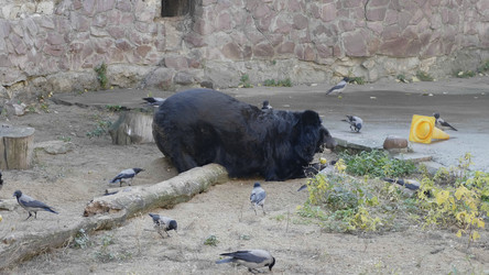 Similar image 21770334