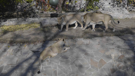 Similar image 21770336