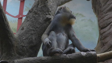 Similar image 21770507