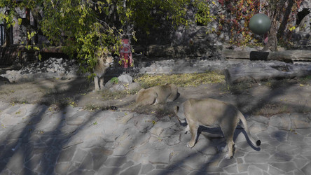 Similar image 21770508