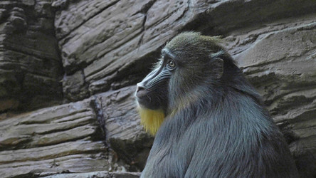 Similar image 21770509