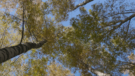 Similar image 21770513