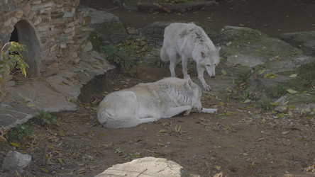 Similar image 21770514