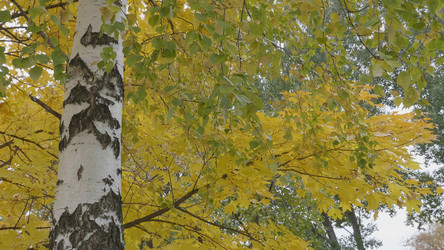 Similar image 21770517