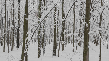 Similar image 21770518