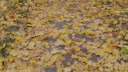 Similar image 21770520