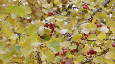 Similar image 21770521