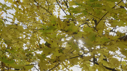 Similar image 21770526