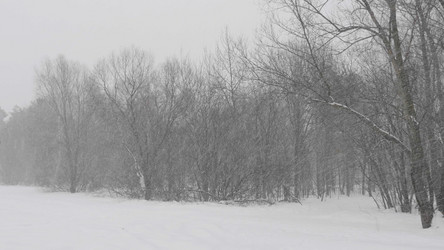 Similar image 21770527