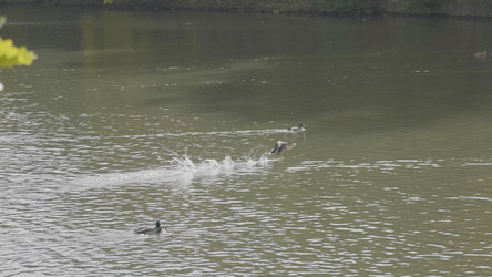 Similar image 21770723