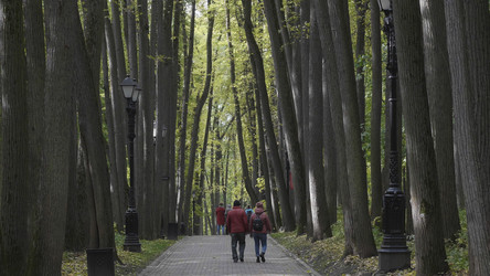 Similar image 21770725