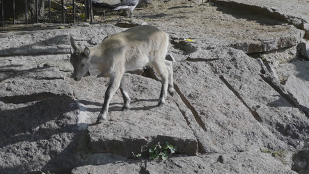 Similar image 21770726