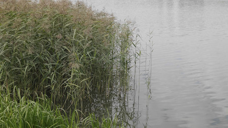 Similar image 21770727