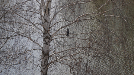 Similar image 21770732