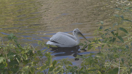 Similar image 21770918