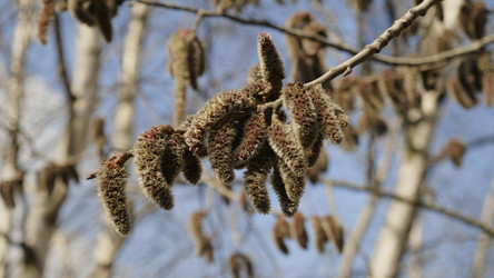 Similar image 21770921