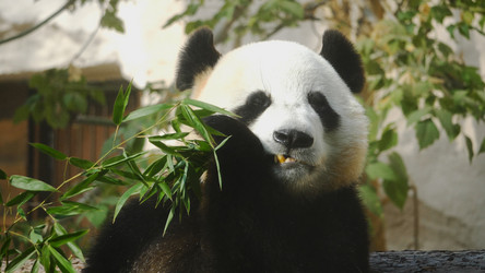 Similar image 21770932