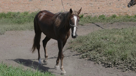 Similar image 21770933