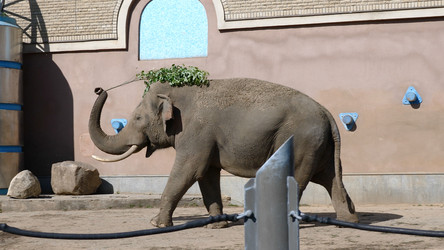 Similar image 21771211