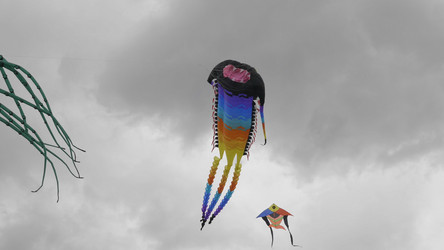 Similar image 21771408