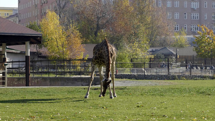 Similar image 21770337