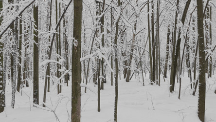 Similar image 21770531