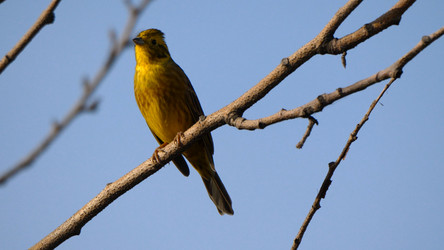 Similar image 21770534