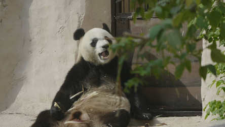 Similar image 21770537