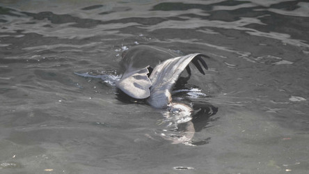 Similar image 21770341