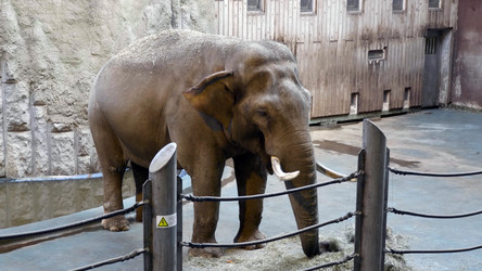 Similar image 21771412